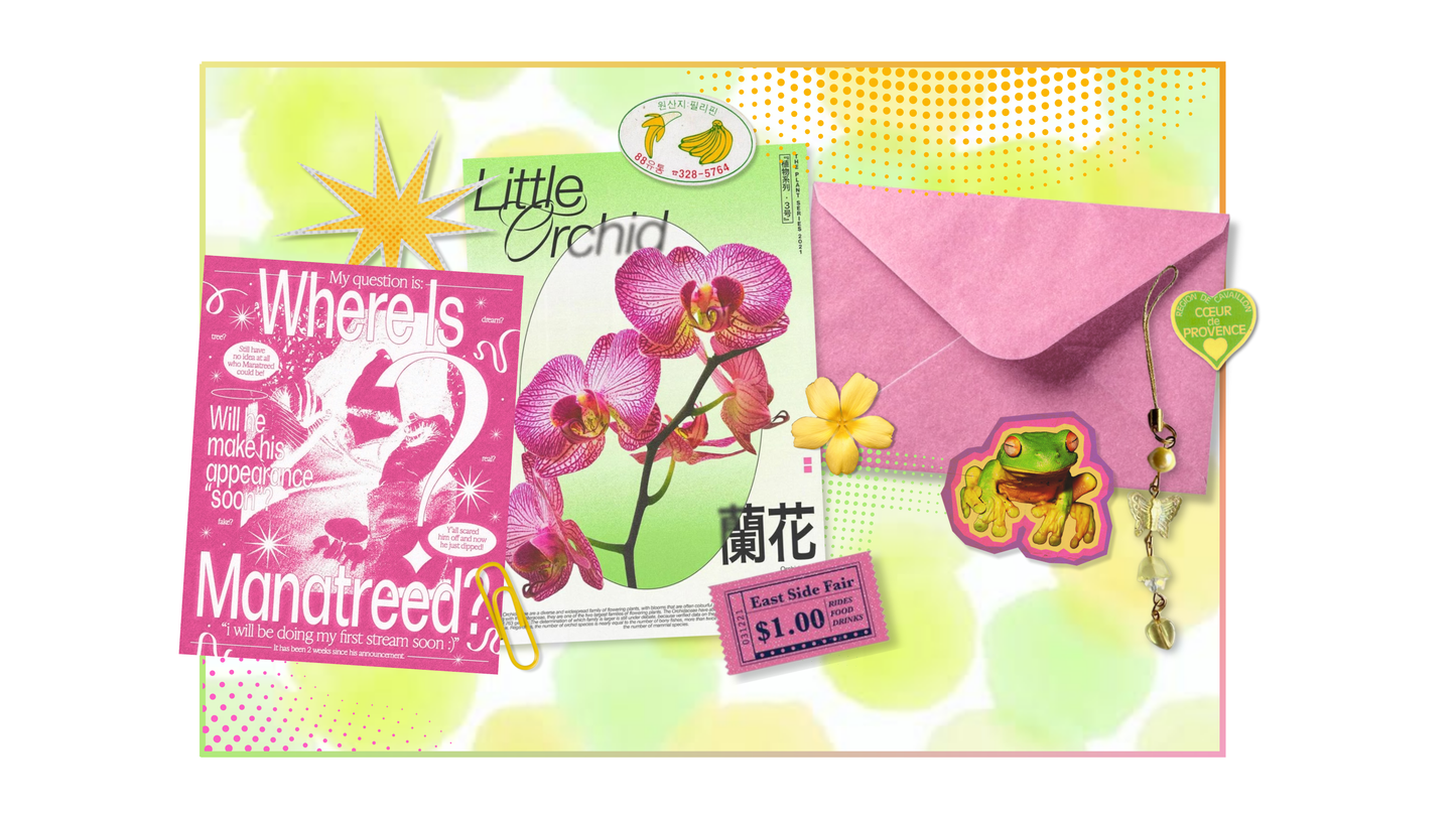 citrus pink